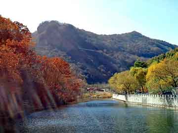 新澳天天开奖资料大全旅游团，德州暖风机